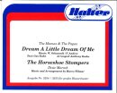 Dream a little Dream / The Horseshoe Stompers