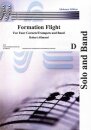 Formation Flight