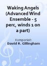 Waking Angels (Advanced Wind Ensemble - 5 perc, winds 1...
