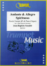 Andante &amp; Allegro Spirituoso
