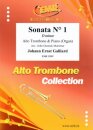 Sonata N&deg; 1 in D minor