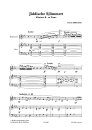 Jiddische Sjlimmert For Clarinet & Piano