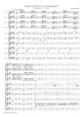 Sinfonia in D major (no.31 - horn signal)
