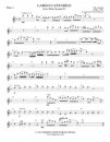 Largo Cantabile from Flute Sonata #1