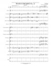 Piano Concerto No. 21 K.467 - Movement I