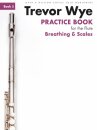 Practice Book For The Flute: Book 5