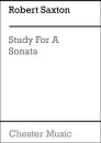 Study For A Sonata