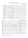 Grande Valse Brillante, Op. 18 for Flute Orchestra