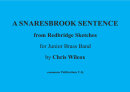 A Snaresbrook Sentence, From Redbridge Sketches