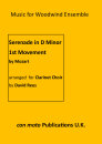 Serenade In D Minor, 1st Movement