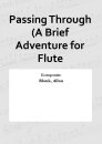 Passing Through (A Brief Adventure for Flute