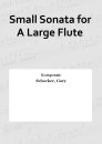 Small Sonata for A Large Flute