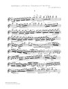 Kadenzen Zu Mozarts Flötenkonzerten Kv 313-314
