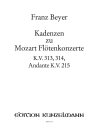 Kadenzen Zu Mozart Fl&ouml;tenkonzerten