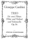 Trio F&uuml;r 2 Fl&ouml;ten und Violoncello