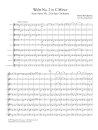 Waltz No. 2 in C Minor for Flute Orchestra
