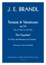 Fantasie & Variationen C-Dur Op. 54