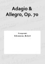 Adagio &amp; Allegro, Op. 70