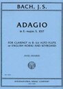 Adagio in E Flat Major, S.1017