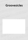 Groovesicles