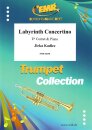 Labyrinth Concertino