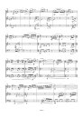Divertimento für Klarinette, Bassetthorn und Bassklarinette